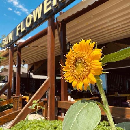 Sun Flower Apart Hotel Side Exterior photo