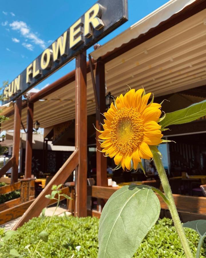 Sun Flower Apart Hotel Side Exterior photo